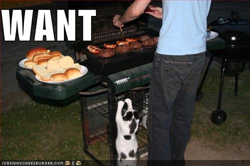 Name:  128291014922933750want.jpg
Views: 872
Size:  28.4 KB