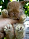 Name:  images[11].jpg
Views: 262
Size:  3.8 KB