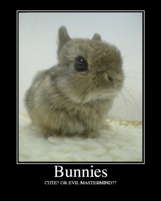 Name:  Bunnies[1].jpg
Views: 438
Size:  16.8 KB