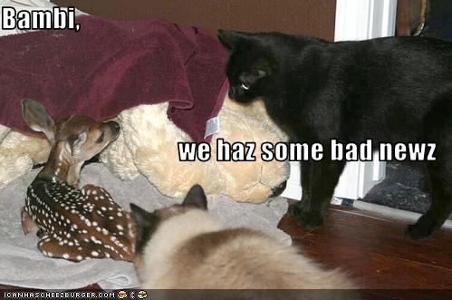 Name:  funny-pictures-bad-news-for-bambi.jpg
Views: 5023
Size:  31.6 KB