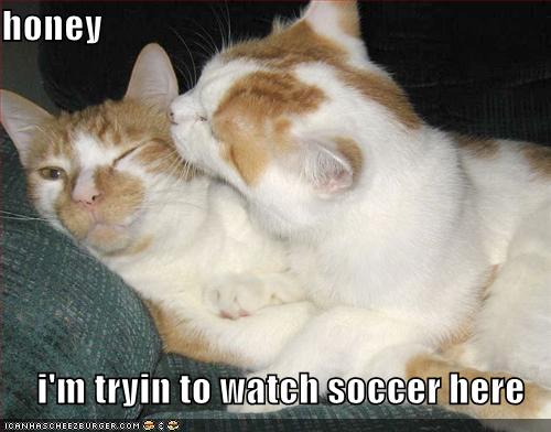 Name:  funny-pictures-watching-sports-cat.jpg
Views: 7326
Size:  32.3 KB
