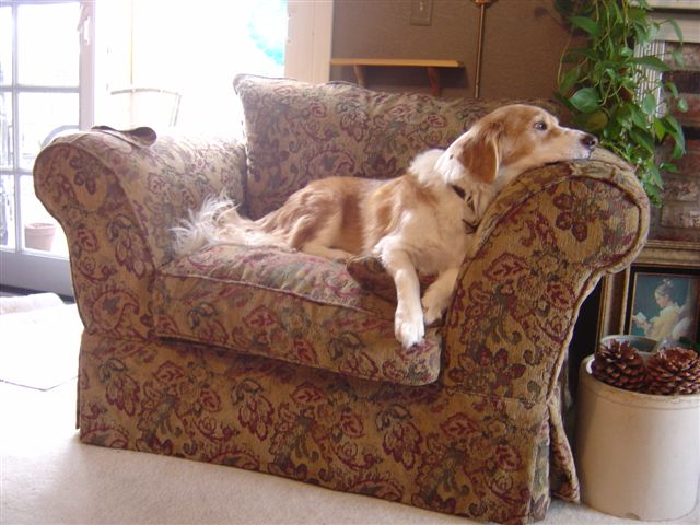 Name: DSC02183.JPG
Views: 26574
Size: 62.1 KB