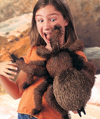 Name:  TarantulaGirl.jpg
Views: 35
Size:  63.2 KB