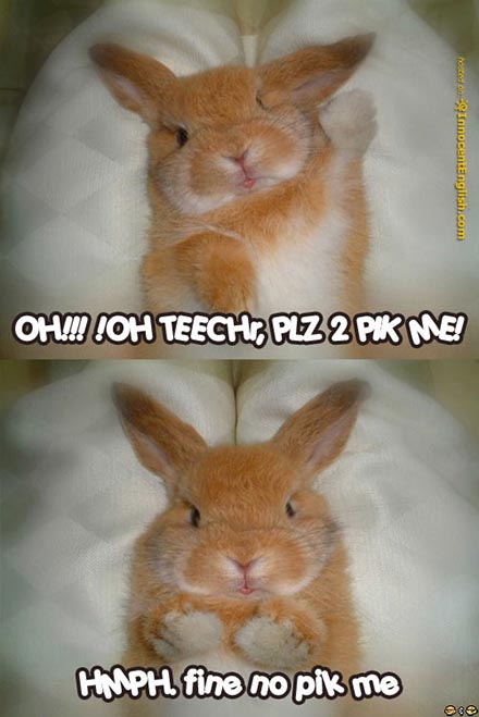 Name:  funny-bunny-raising-hand[1].jpg
Views: 55
Size:  59.0 KB