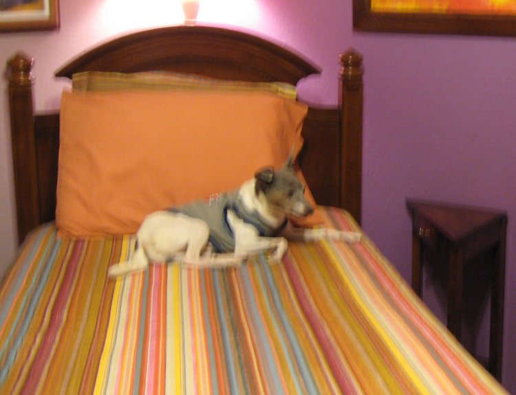 Name:  IMG_0056.jpg
Views: 1293
Size:  59.7 KB
