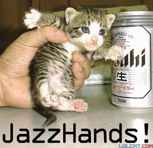 Name:  jazzy.jpg
Views: 6074
Size:  34.9 KB