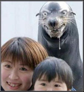 Name:  NIGEL.jpg
Views: 83
Size:  18.9 KB