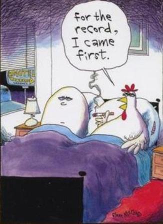 Name:  chickenegginbed.jpg
Views: 27
Size:  24.5 KB
