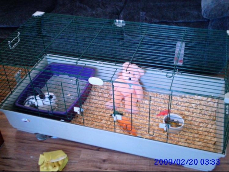 Name:  PICT0020.jpg
Views: 119
Size:  94.4 KB