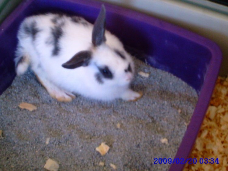 Name:  PICT0023.jpg
Views: 102
Size:  58.5 KB
