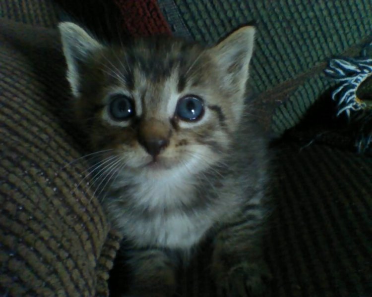 Name:  01-6.jpg
Views: 1577
Size:  58.8 KB