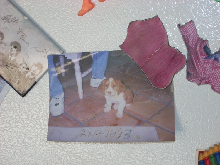 Name:  dogs 002.jpg
Views: 1863
Size:  79.5 KB