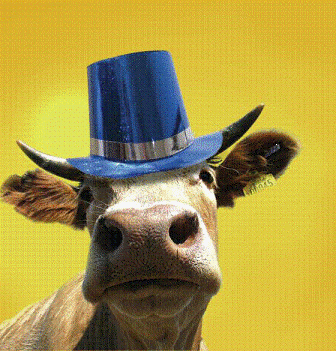 Name:  cow%20with%20hat%20for%20web[1].gif
Views: 114
Size:  75.7 KB