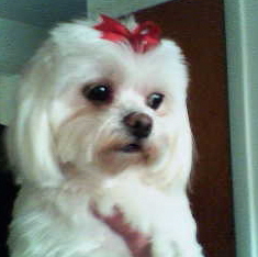 Name:  Baby Allheart.jpg
Views: 572
Size:  29.1 KB
