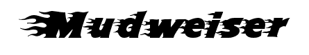 Name:  font_image2.gif
Views: 759
Size:  2.1 KB