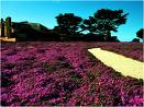Name:  1.jpg
Views: 808
Size:  4.9 KB