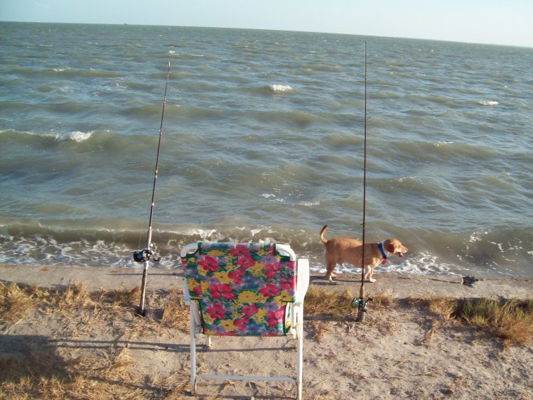 Name:  goose island 2 036.jpg
Views: 123
Size:  104.7 KB