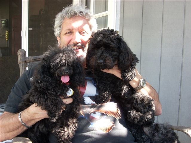 Name:  coogle family4.JPG
Views: 42
Size:  154.7 KB