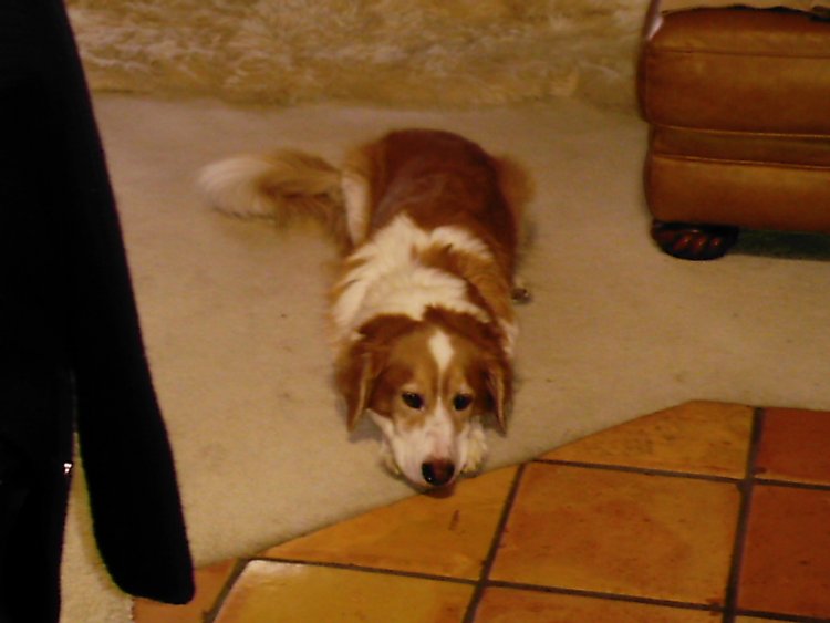 Name:  DCFC0003.jpg
Views: 48
Size:  46.1 KB