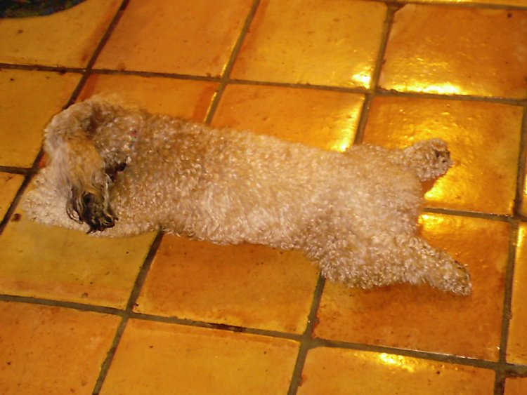 Name:  DCFC0005.jpg
Views: 47
Size:  71.7 KB