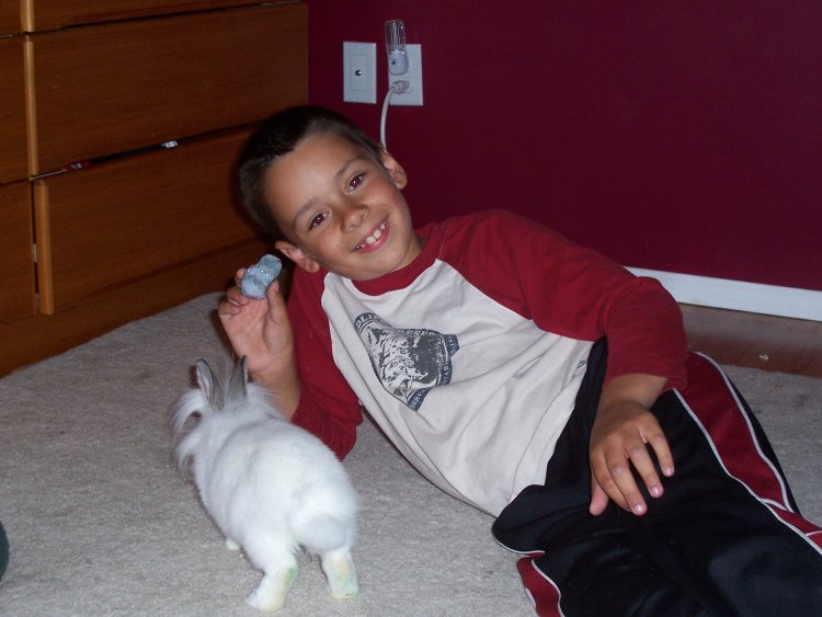 Name:  bunny 018.jpg
Views: 248
Size:  62.6 KB