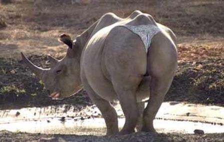 Name:  g-string.jpg
Views: 33
Size:  22.6 KB