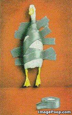 Name:  duck_tape.jpg
Views: 64
Size:  28.1 KB