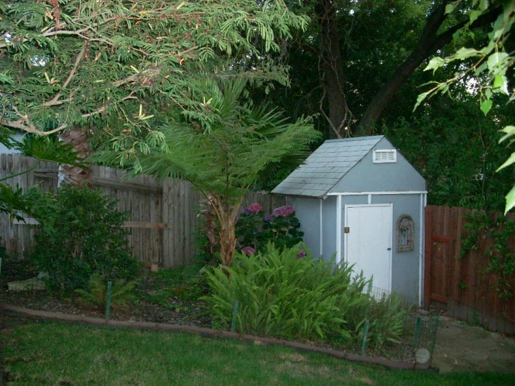 Name: coi pond 009.jpg
Views: 718
Size: 116.6 KB