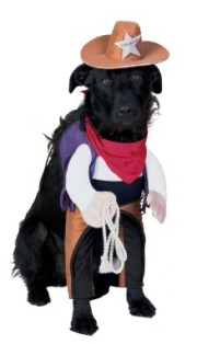 Name:  sheriff lab.jpg
Views: 65
Size:  12.3 KB