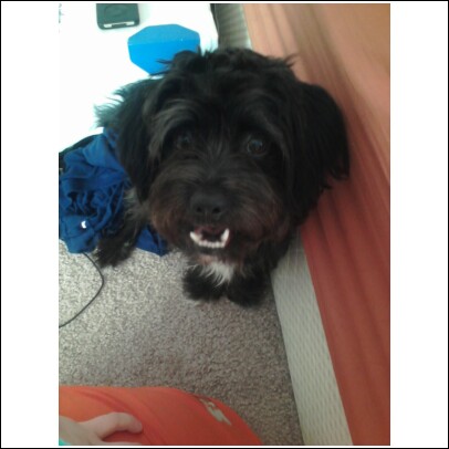 Name:  gigi.jpg
Views: 417
Size:  51.5 KB