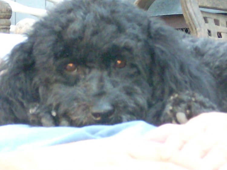 Name:  Oct 2nd 2009 037.jpg
Views: 104
Size:  46.7 KB
