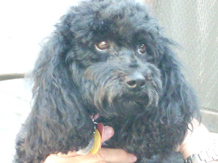 Name:  Oct 2nd 2009 039.jpg
Views: 111
Size:  59.8 KB