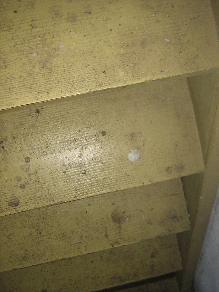 Name:  before stairs.JPG
Views: 1209
Size:  162.6 KB