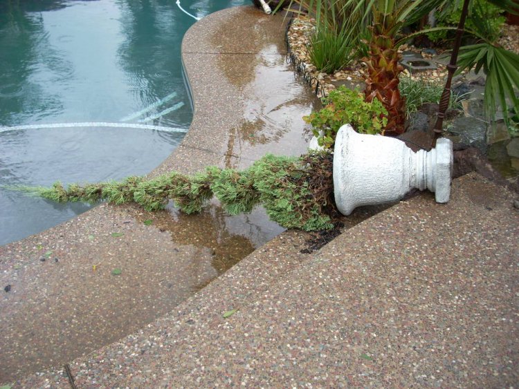 Name:  storm damage2009 004.jpg
Views: 268
Size:  129.2 KB