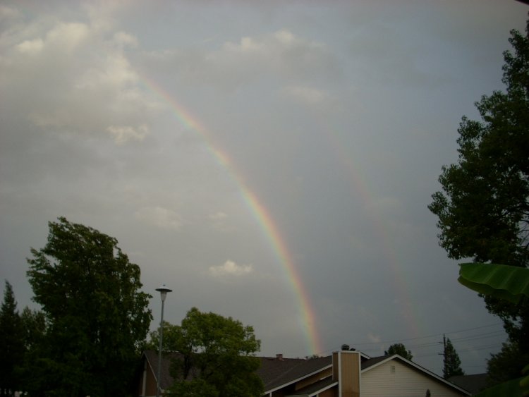 Name:  storm damage2009 010.jpg
Views: 233
Size:  41.3 KB