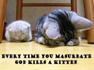 Name:  kitty.jpg
Views: 662
Size:  16.2 KB