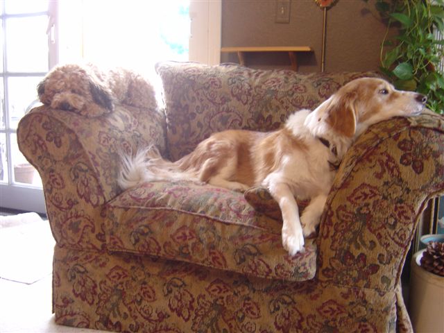 Name:  DSC02184.JPG
Views: 101
Size:  59.6 KB