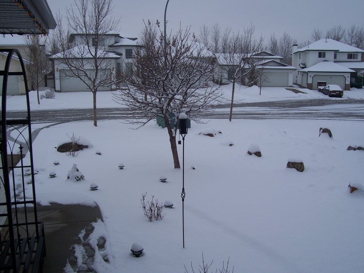 Name:  2008 047.jpg
Views: 131
Size:  78.5 KB