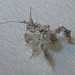 Name:  Test.png
Views: 1734
Size:  10.5 KB