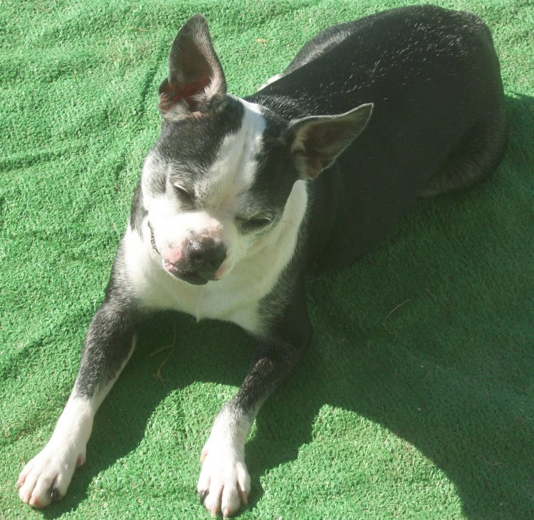 Name: gi nov 09 021.jpg
Views: 103
Size: 145.0 KB