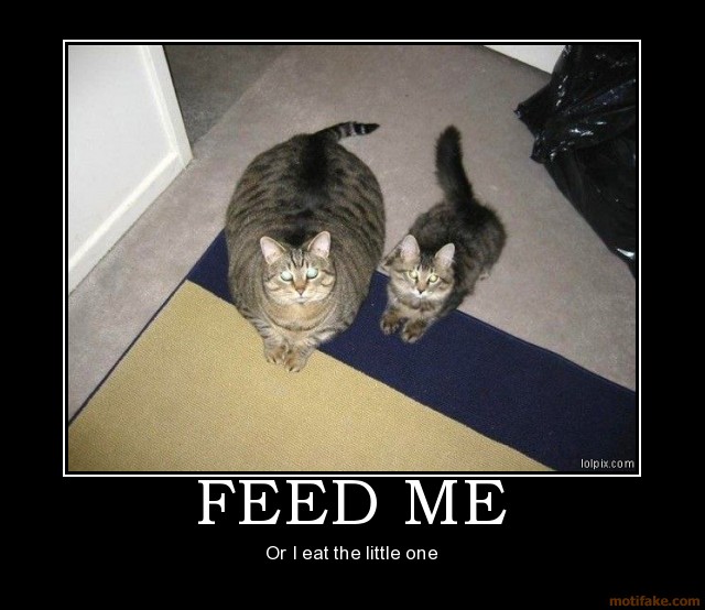 Name:  feed-me-eat-cat-animal-funny-demotivational-poster-1250121814.jpg
Views: 25
Size:  69.1 KB