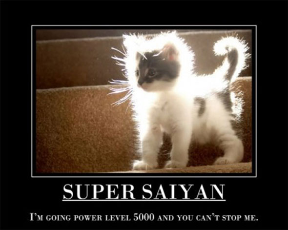 Name:  supersaiyan[1].jpg
Views: 182
Size:  38.7 KB