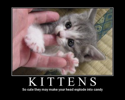 Name:  Kittens candy[1].jpg
Views: 171
Size:  21.9 KB