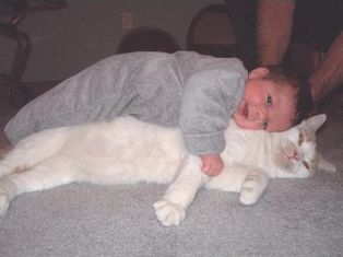 Name:  CAT1.bmp
Views: 177
Size:  216.7 KB