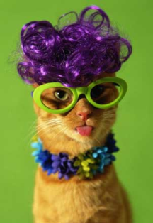 Name:  CAT2.bmp
Views: 230
Size:  198.8 KB