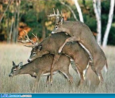 Name:  funny-picture-57.jpg
Views: 86223
Size:  38.8 KB