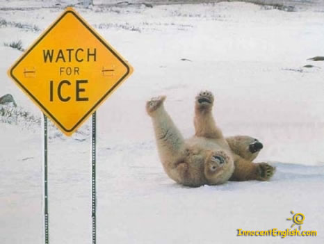 Name:  funny-polar-bear-pic-img121.jpg
Views: 202678
Size:  43.3 KB
