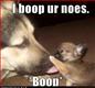 Name:  funny-dog-pictures-puppy-touches-your-nose-annoyingly[1].jpg
Views: 71028
Size:  2.6 KB
