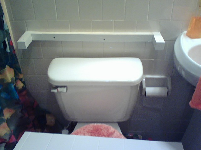 Name:  guest bath.jpg
Views: 12281
Size:  54.0 KB
