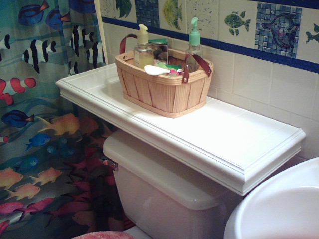 Name:  guest bath toilet shelf.jpg
Views: 16448
Size:  81.3 KB
